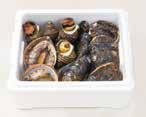 うすき貝類詰め合わせの特産品画像