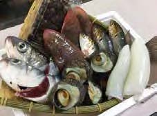 魚市場の地魚セットの特産品画像