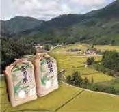 荘園米15kgの特産品画像