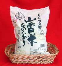 山香米10kg（5kg×2）の特産品画像