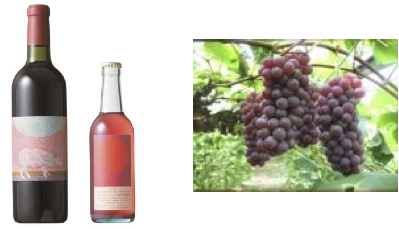 安心院ワイン（赤・マスカットベリーＡ）＆ぶどうの特産品画像