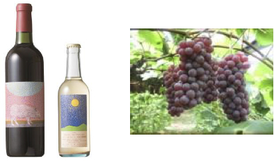 安心院ワイン（赤・デラウエア）＆ぶどう２の特産品画像
