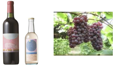 安心院ワイン（赤・ピオーネ）＆ぶどう３の特産品画像