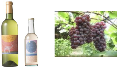 安心院ワイン（白・ピオーネ）＆ぶどう６の特産品画像