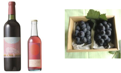 安心院ワイン（赤・マスカットベリーＡ）＆ぶどう10の特産品画像