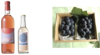 安心院ワイン（ロゼ・ピオーネ）＆ぶどう18の特産品画像